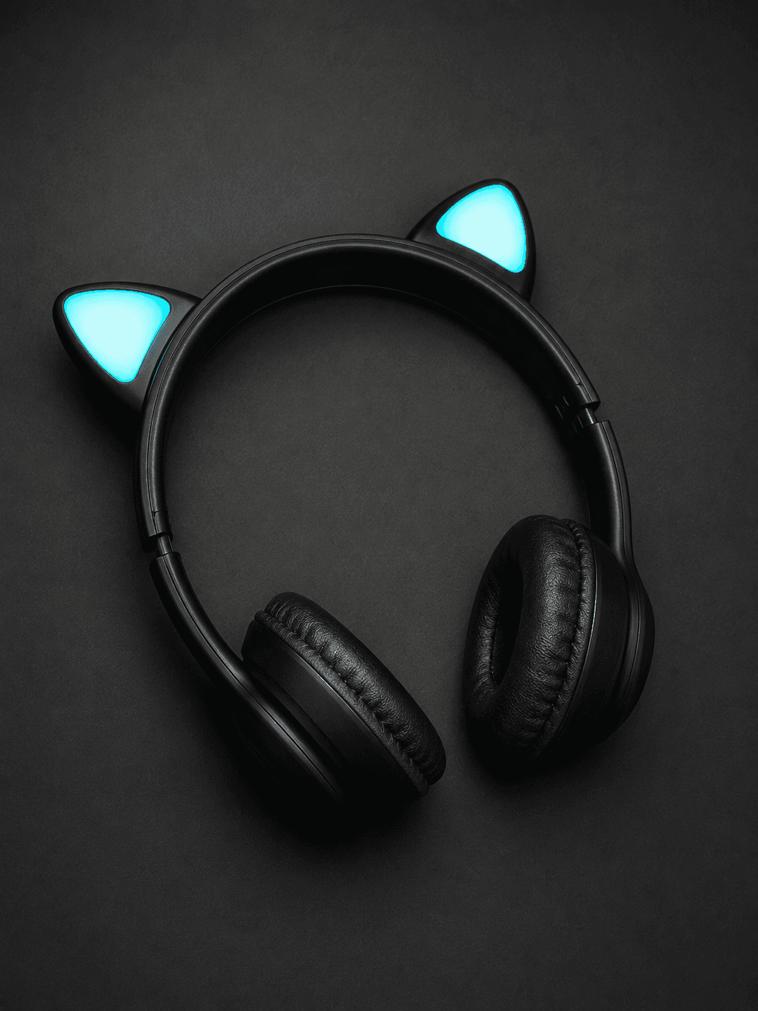 Kitty headphones