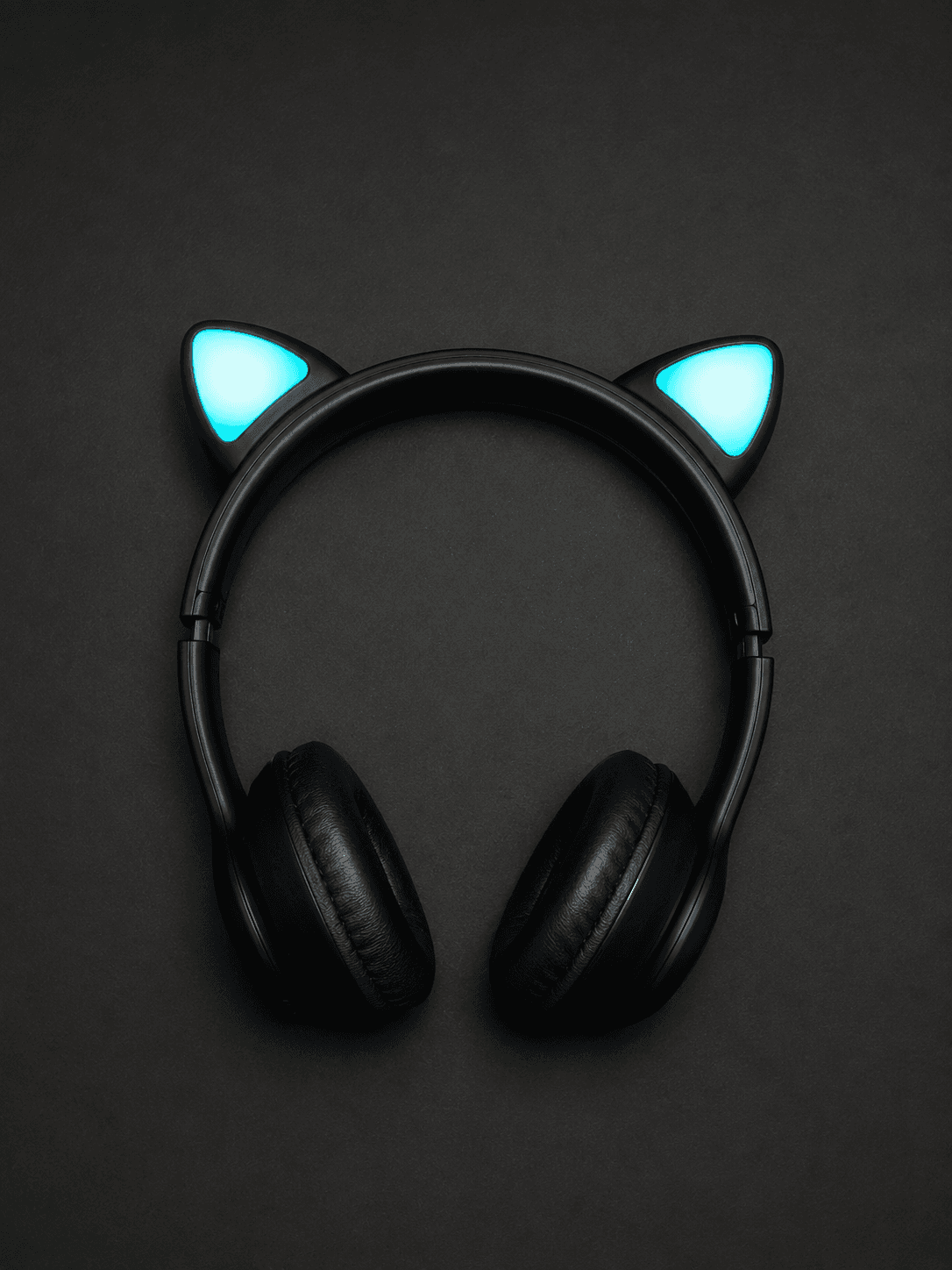 Kitty headphones 4